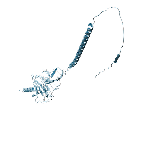 Cynomolgus CD226 (C-6His, HEK293)